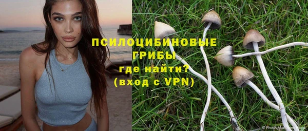МДПВ Алексеевка