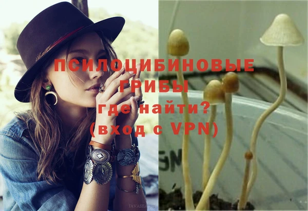 МДПВ Алексеевка