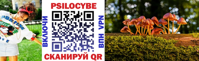 Псилоцибиновые грибы ЛСД  блэк спрут зеркало  Красногорск  купить наркотик 